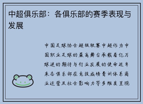 中超俱乐部：各俱乐部的赛季表现与发展