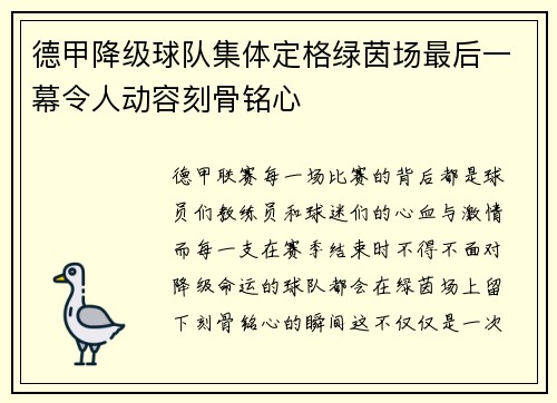 德甲降级球队集体定格绿茵场最后一幕令人动容刻骨铭心