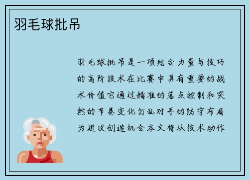 羽毛球批吊